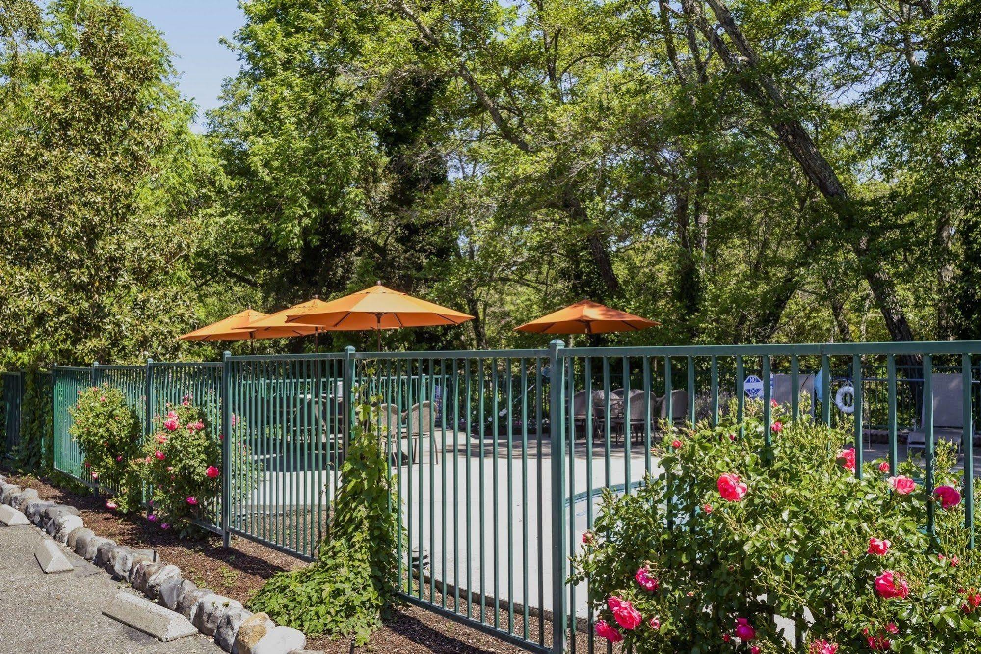The Jack London Lodge Глен Эллен Экстерьер фото